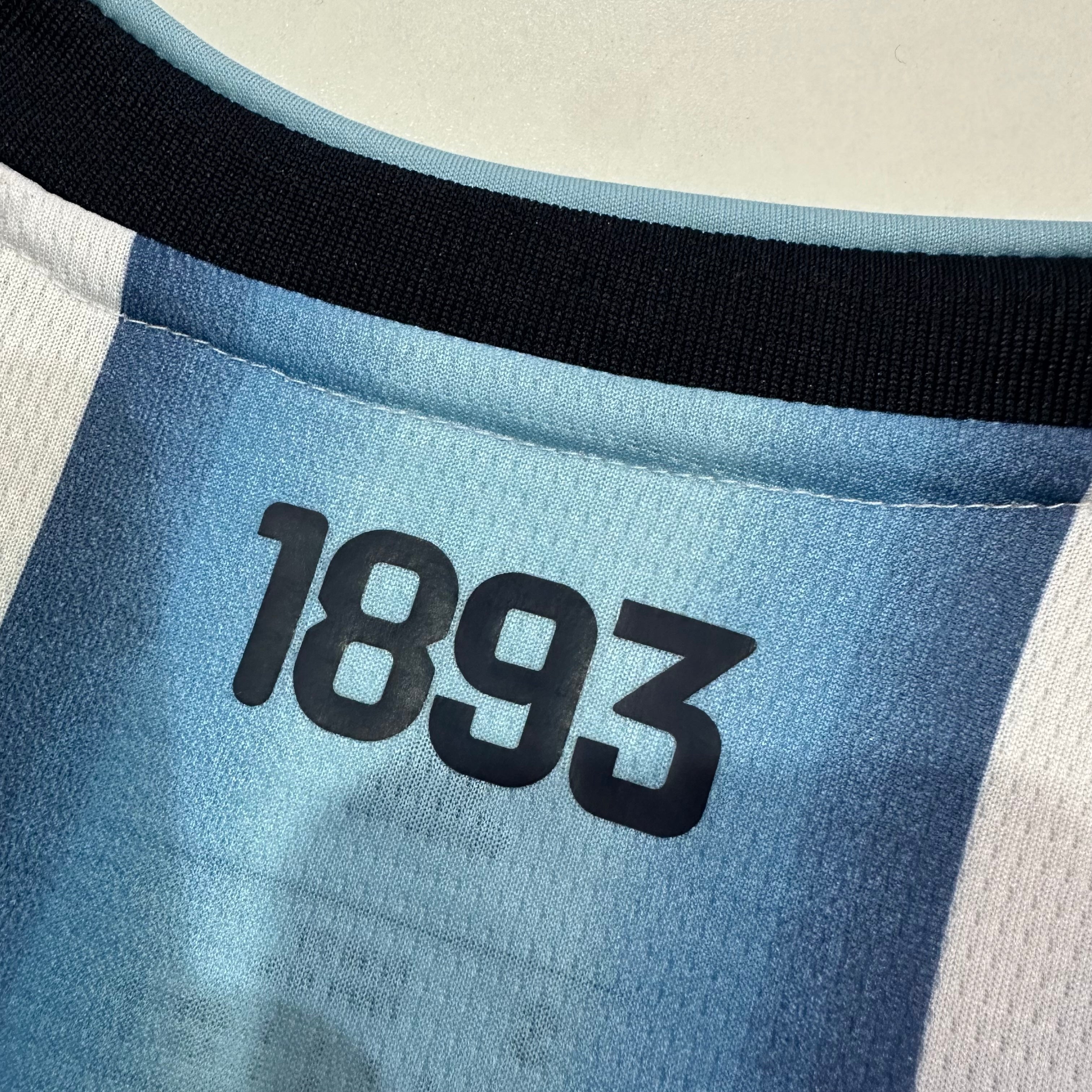 Argentina VM 2026 Fan Version (Hemma)